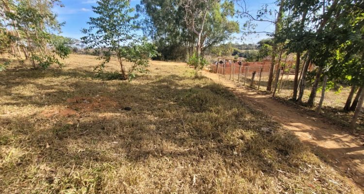 WhatsApp Image 2022-07-29 at 08.16.42 (1)