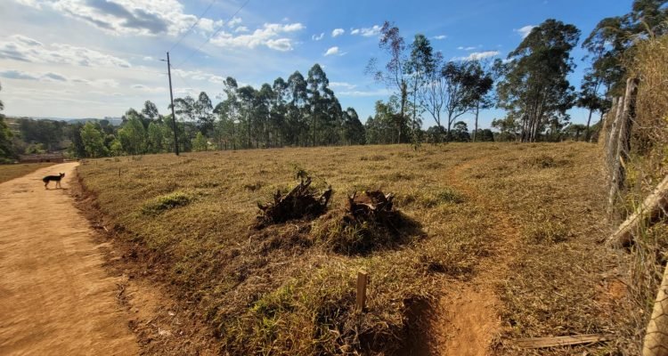 WhatsApp Image 2022-07-29 at 08.16.42 (2)