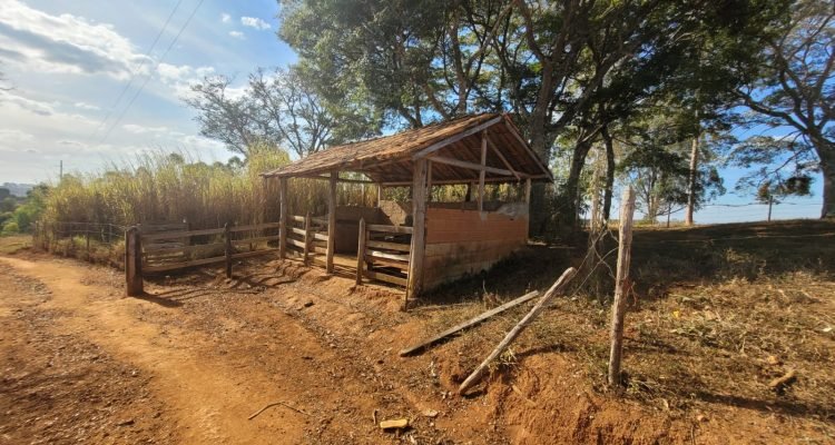 WhatsApp Image 2022-07-29 at 08.16.42 (4)