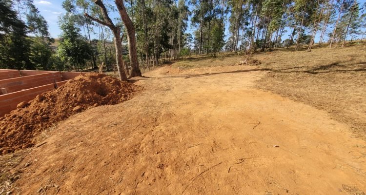 WhatsApp Image 2022-07-29 at 08.16.42