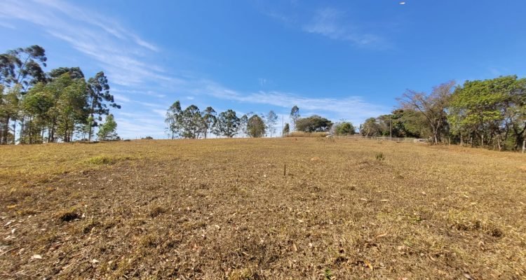 WhatsApp Image 2022-07-29 at 14.07.25