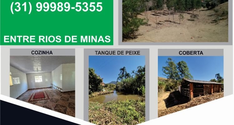 WhatsApp Image 2025-09-03 at 14.39.33