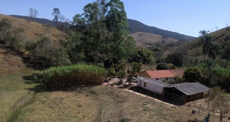 WhatsApp Image 2025-09-03 at 14.40.33 (1)