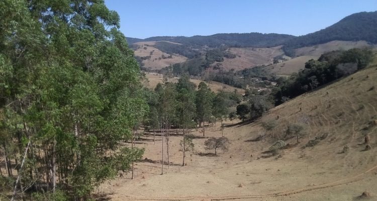 WhatsApp Image 2025-09-03 at 14.40.33