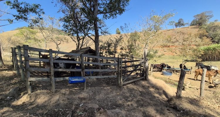 WhatsApp Image 2025-09-03 at 15.42.45 (2)