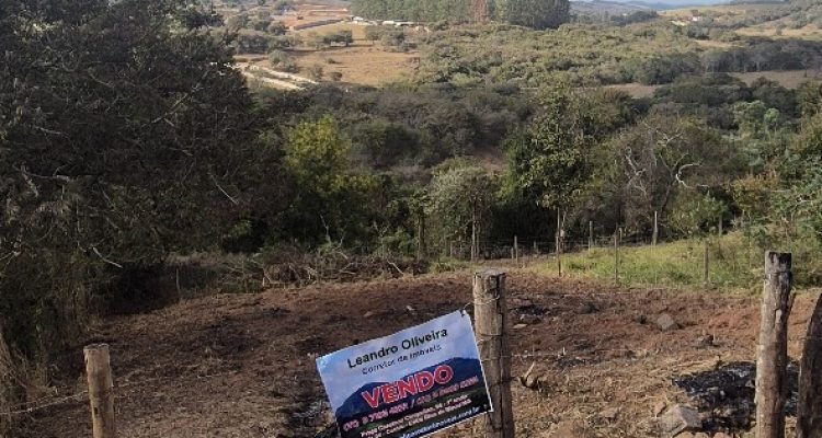 WhatsApp Image 2025-09-05 at 08.55.30 (1)