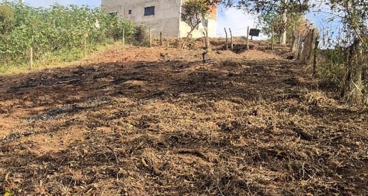 WhatsApp Image 2025-09-05 at 08.55.30