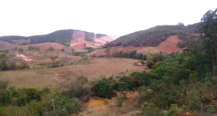 WhatsApp Image 2025-11-05 at 14.19.16