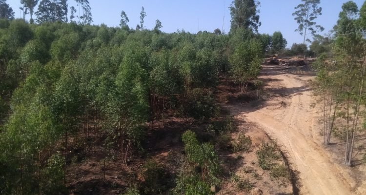 WhatsApp Image 2025-11-05 at 14.23.15 (1)