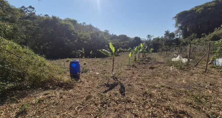 WhatsApp Image 2025-11-05 at 14.23.15 (2)