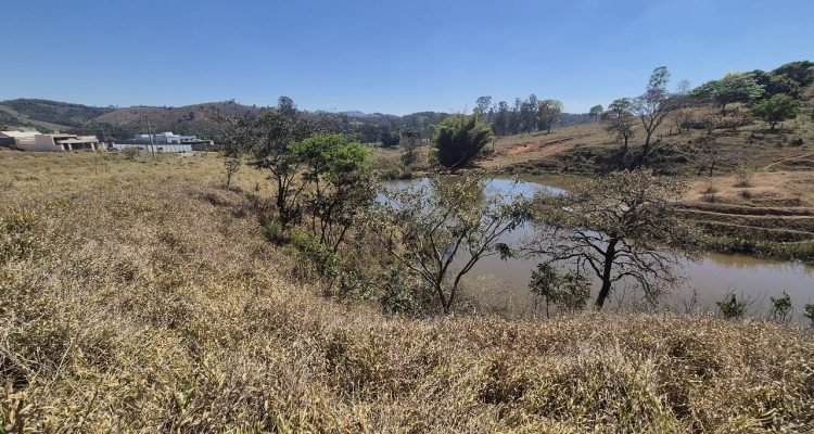 WhatsApp Image 2025-11-05 at 14.36.09