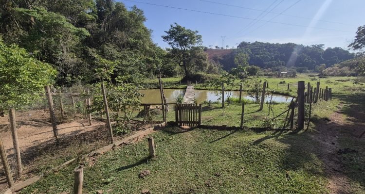 WhatsApp Image 2025-11-07 at 13.55.55