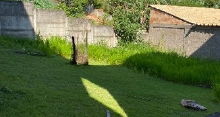 WhatsApp Image 2025-12-19 at 11.02.21