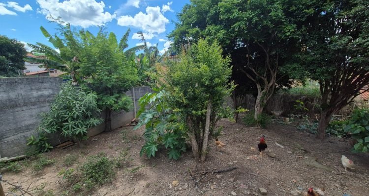 WhatsApp Image 2025-12-19 at 15.53.22 (1)