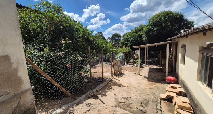 WhatsApp Image 2025-12-19 at 15.53.22