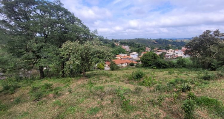 WhatsApp Image 2025-12-19 at 16.17.02 (1)