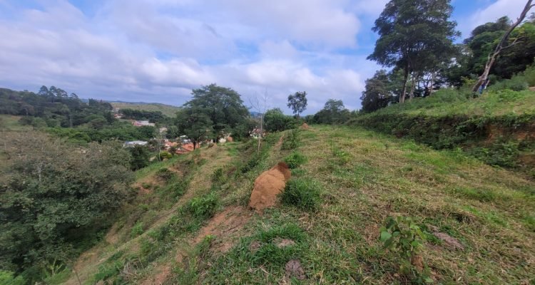 WhatsApp Image 2025-12-19 at 16.17.06 (1)