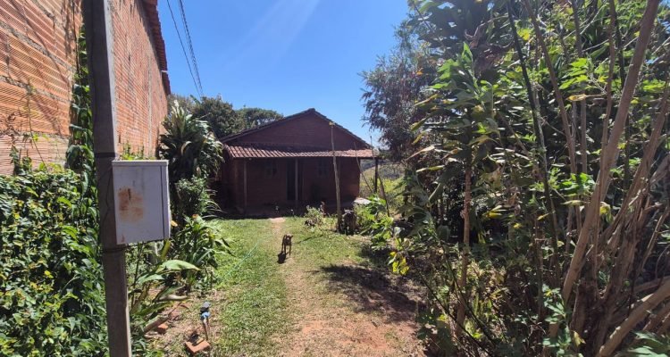 WhatsApp Image 2026-02-12 at 17.21.48