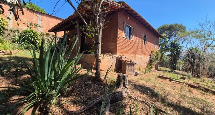 WhatsApp Image 2026-02-12 at 17.21.49