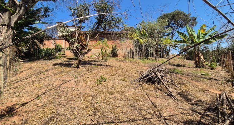 WhatsApp Image 2026-02-12 at 17.21.50