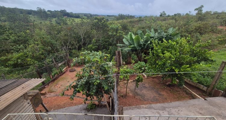 WhatsApp Image 2026-02-13 at 13.42.35