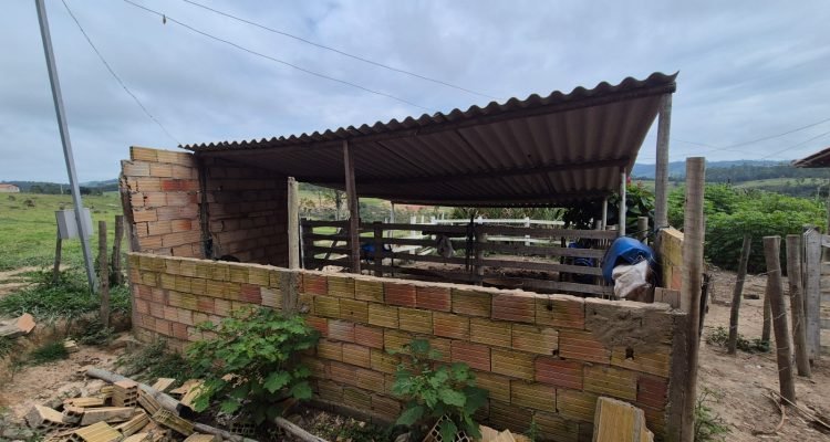 WhatsApp Image 2026-03-12 at 16.04.53